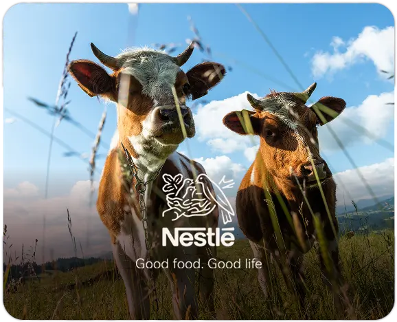 Portal Nestlé, plataforma de gestión de la cadena de suministro para la compra de leche a pequeños y medianos productores