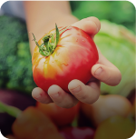 Tecnología aplicada a la agroindustria y alimentación: monitoreo de cultivos, automatización y gestión eficiente de la producción.